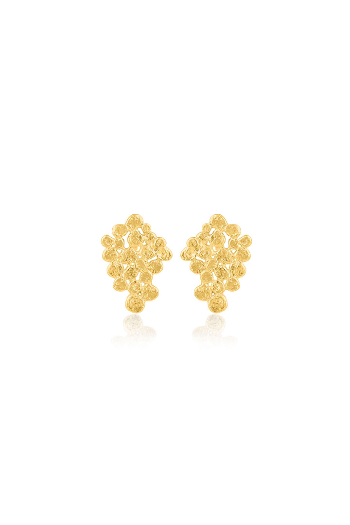 Husk Paloma Earring - Gold