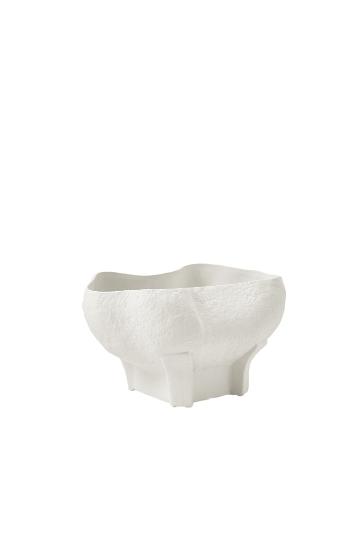 Husk Conch Bowl - Ivory