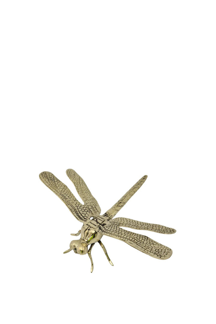 Husk Large Dragonfly - Brass