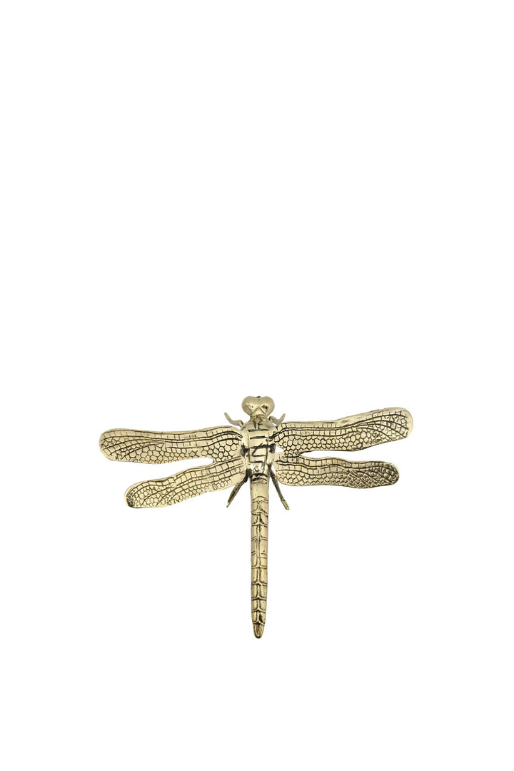 Husk Large Dragonfly - Brass