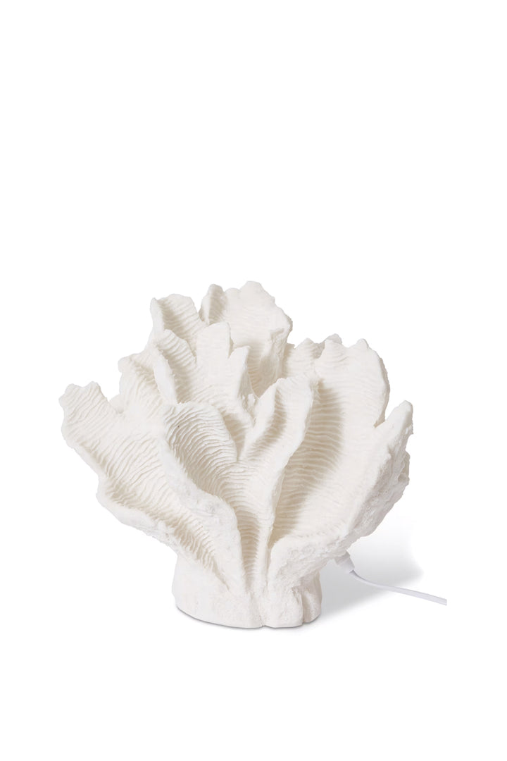 Husk Coral Leaf - White