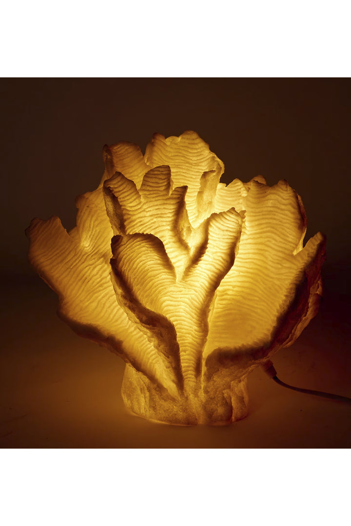 Husk Coral Leaf - White