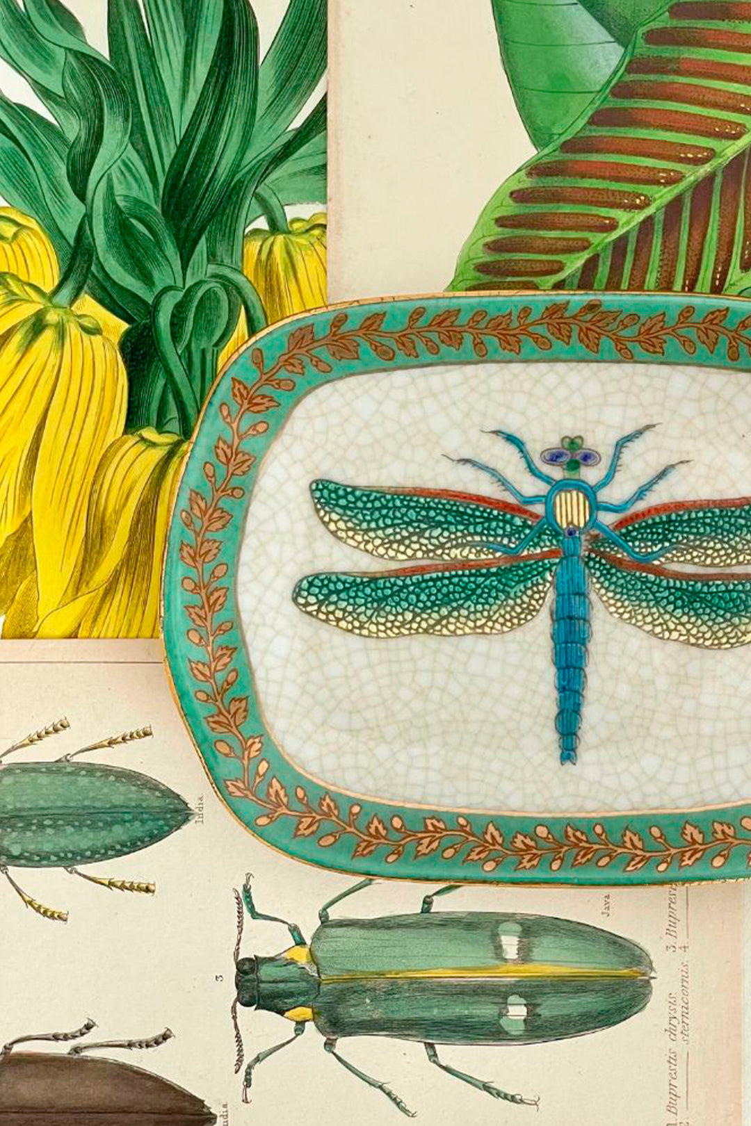 Husk Dragonfly Dish