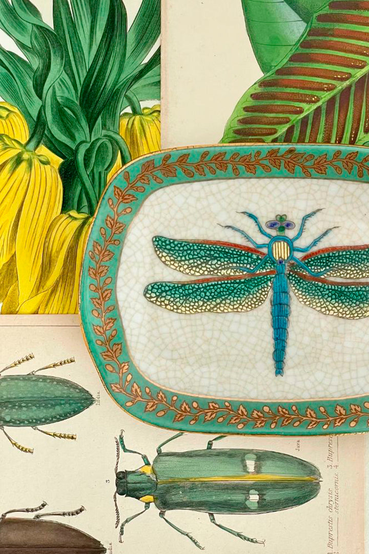 Husk Dragonfly Dish