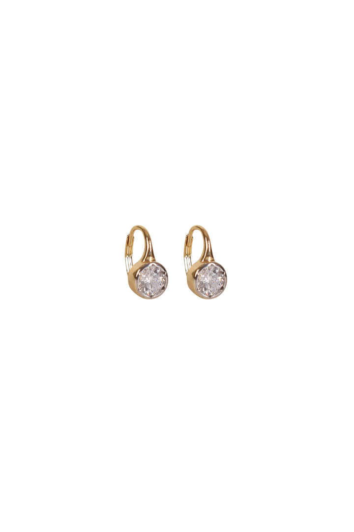 Husk Amber Earrings