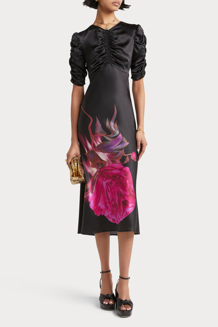 Husk Rosa dress - Print