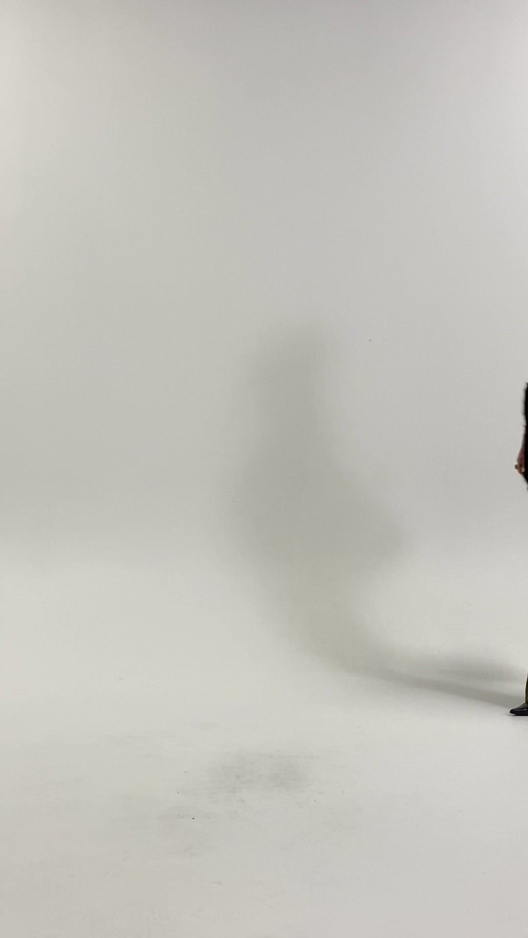 Husk Merino Roll Neck