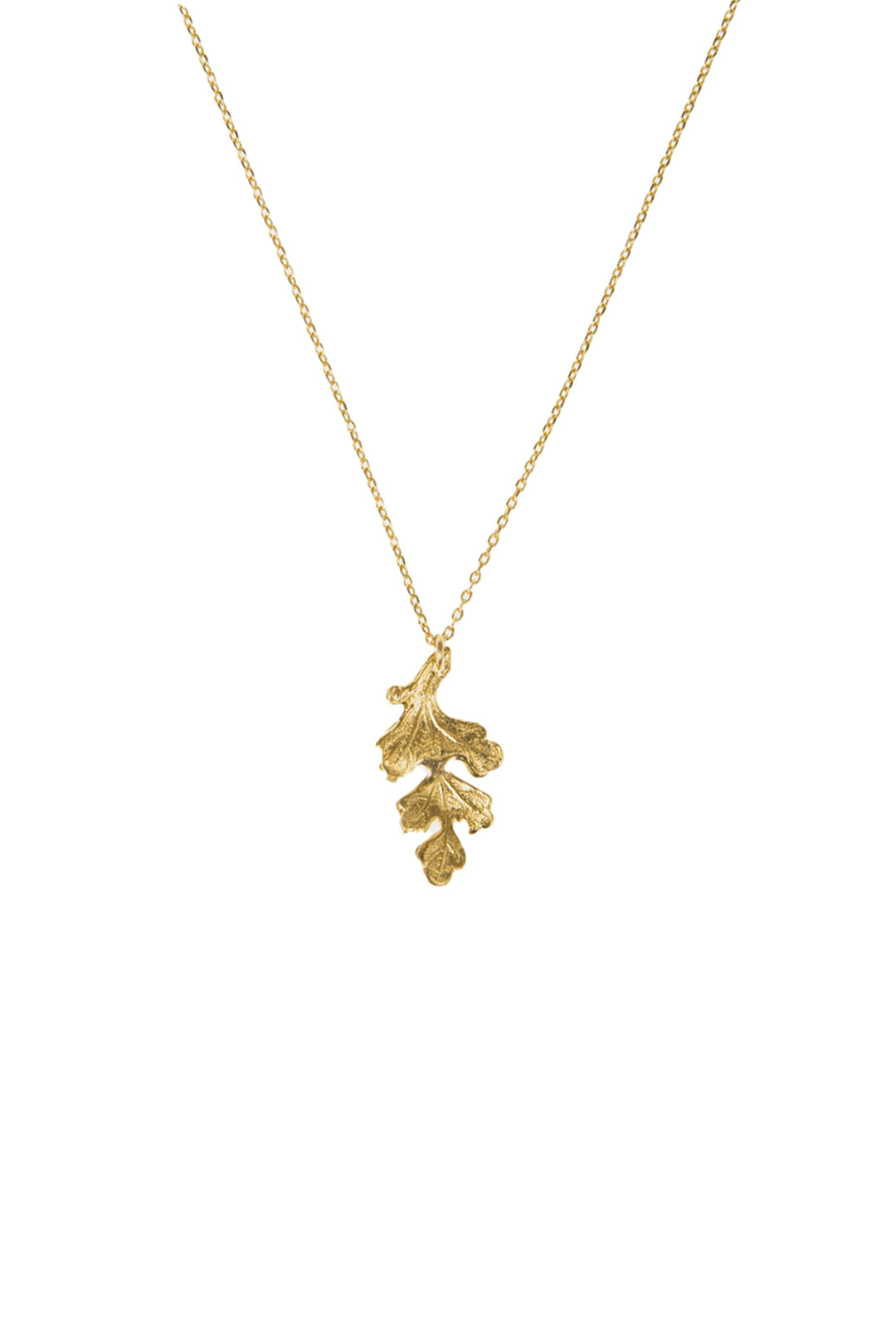 Medecine Douce Wind Necklace - Gold